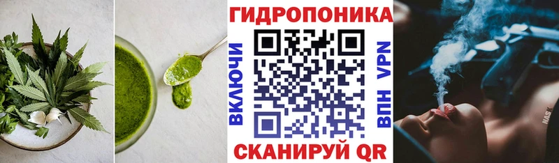 Купить Анжеро-Судженск Cannafood марихуана