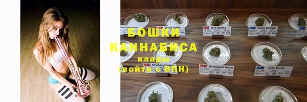 прущие грибы Лихославль