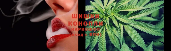 прущие грибы Лихославль