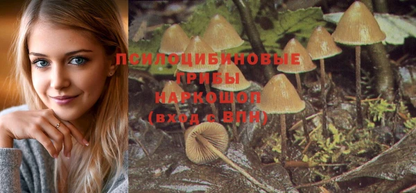 mdpv Липки