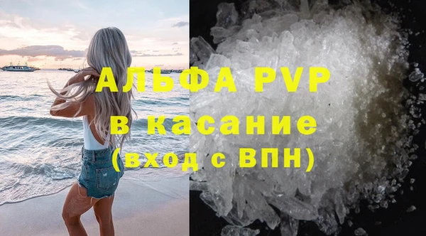 прущие грибы Лихославль