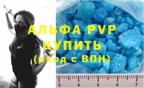 прущие грибы Лихославль