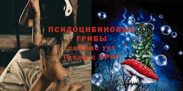 прущие грибы Лихославль