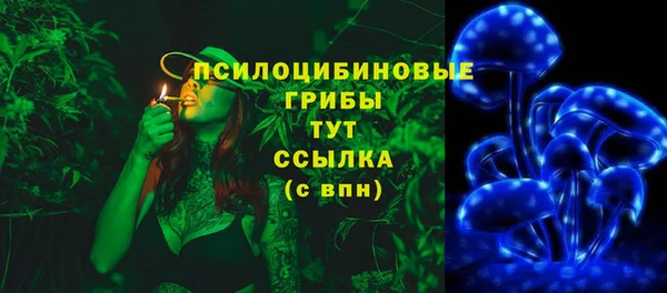 бошки Лиски