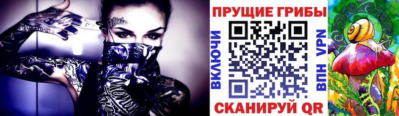 Псилоцибиновые грибы мухоморы Анжеро-Судженск